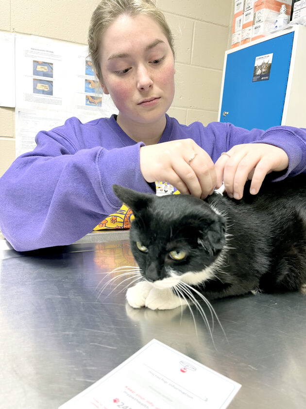 Humane Society offers microchipping News, Sports, Jobs The Herald Star